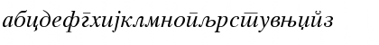 CTimes Italic Regular Font CTimes Italic Regular Font