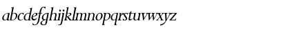 P700-Roman Italic Font