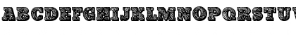 PaisleyCaps Regular Font