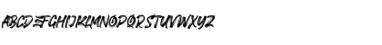 FIGHTER BRUSH Regular Font