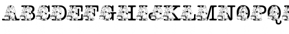 pf_i_read003 Regular Font pf_i_read003 Regular Font