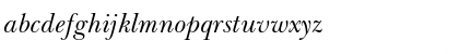 QTBasker Italic Font