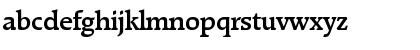Raleigh-Serial-Medium Regular Font