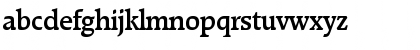 RaleighSerial-Medium Regular Font RaleighSerial-Medium Regular Font