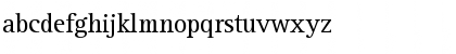 RotisSerif55 Roman Font