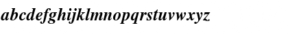 Times CE Bold Italic Font