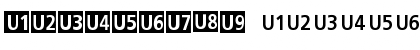 a Accountant Signature Regular