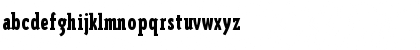 TriplexConSerBlackOldstyle Regular Font