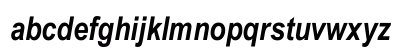 Arial Narrow Bold Italic Regular