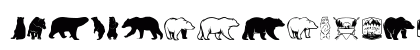 Bear Icons Regular