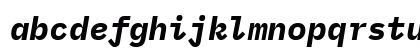 BlexMono NF Bold Italic BlexMono NF Bold Italic