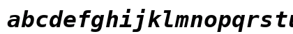 DejaVu LGC Sans Mono Bold Oblique