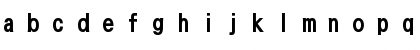 DFNHeiXBoldU-B5 Regular Font
