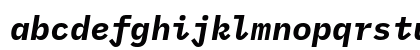 IBM Plex Mono Bold Italic