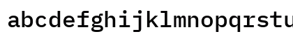 IBM Plex Mono Medium Regular