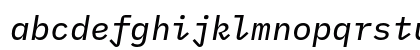 IBM Plex Mono Text Italic