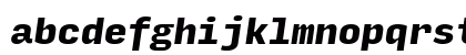 Input Mono Black Italic Input Mono Black Italic