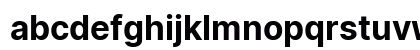 Inter Bold Italic Inter Bold Italic