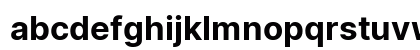 Inter Bold Italic Inter Bold Italic