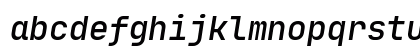 JetBrainsMono Nerd Font Mono Italic JetBrainsMono Nerd Font Mono Italic