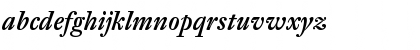 DTL Fleischmann Regular Font