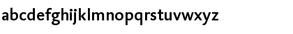 DTLCaspariTMedium Regular Font