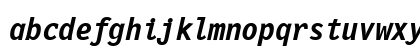 Monospaced Bold Italic Monospaced Bold Italic