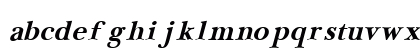 NewBaskerville Bold Italic