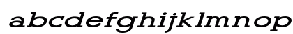 New Binginham Extra-expanded Italic New Binginham Extra-expanded Italic