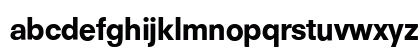 N692-Sans Bold