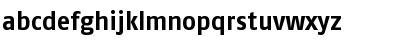 FagoNoLf-Bold Bold Font