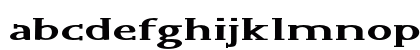 Wink Extra-expanded Bold Wink Extra-expanded Bold