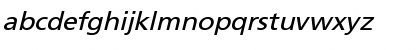 FrutigerExtObl Normal Font