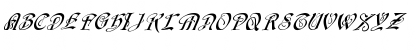 FZ SCRIPT 14 ITALIC Normal Font