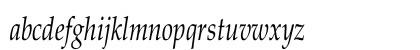 Palatino-Italic Cn Regular