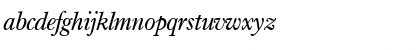 I771-Roman Italic Font