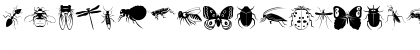 Insecta Regular Font Insecta Regular Font