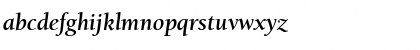 BerkeleyOldStyItcT Bold Italic Font
