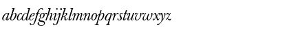 Berthold Baskerville Book Italic Font Berthold Baskerville Book Italic Font