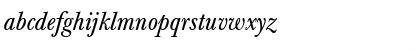 Berthold Baskerville Italic Font