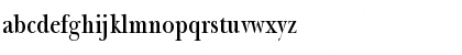 NewBaskerThin Normal Font