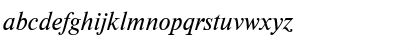 NewtonDOSCTT Italic Font