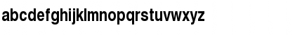 NimbusSanLEECon Bold Font