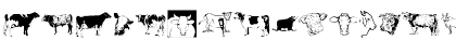 AnimalsAnimalsBovine Regular Font