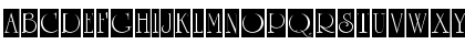 a_RomanusTtlCmD2Cb Regular Font