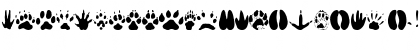 AnimalTracks Regular Font