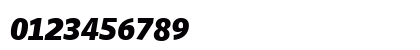 Whitney Numeric - Black Italic