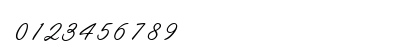 L691-Script Regular