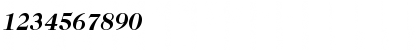 CaslonNo224EF-BoldItalic Regular Font
