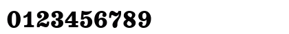 E710-Roman Bold